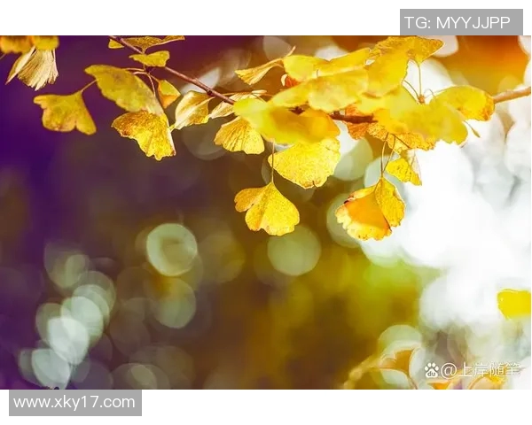 十月庆生，岁月如歌，热爱生活的每一天依然闪耀光芒