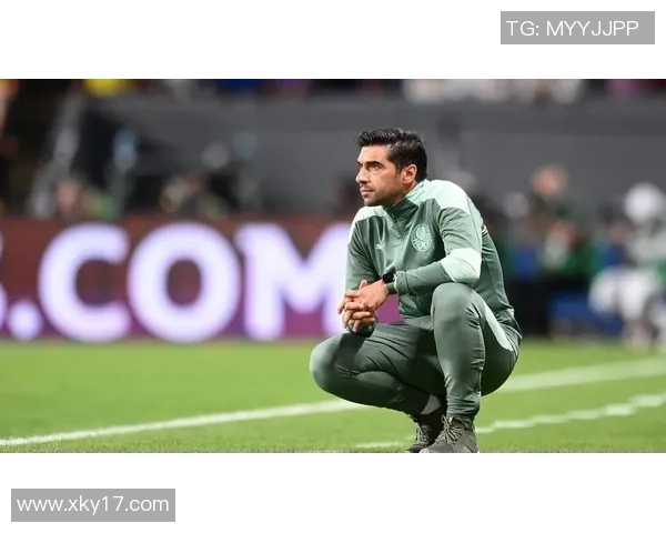 帕尔梅拉斯关注布莱顿后卫伊戈尔现正外租于西汉姆