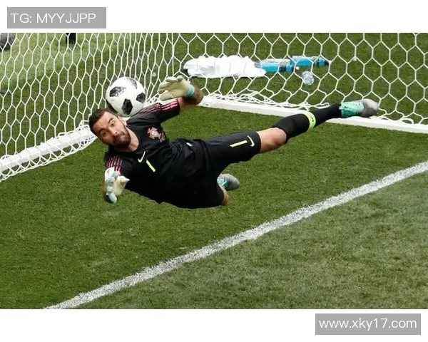 前葡萄牙国门帕特里西奥宣布退役B费感恩致敬表达深情祝福